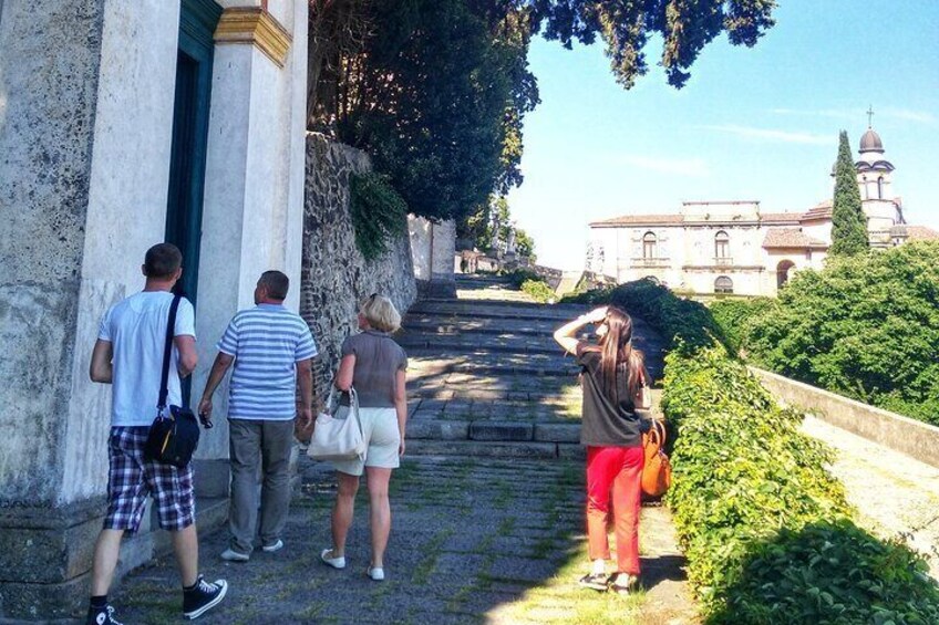 From Padua: Tour to the walled town of Monselice