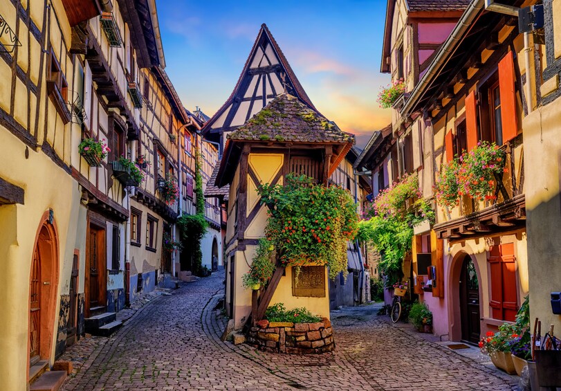 Pearls of Alsace Sightseeing Full-Day Tour From Strasbourg