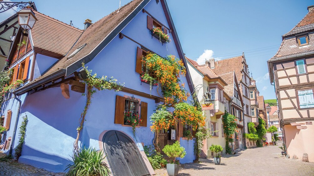 View from the street of the exteriors of homes in Eguisheim Alsace, France