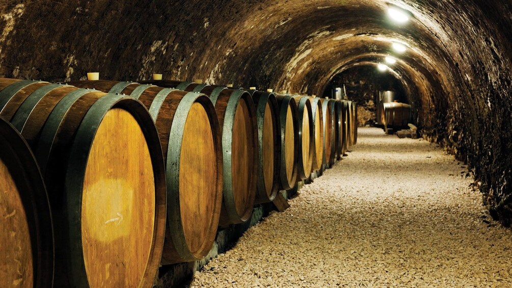 Underground wine barrel storage in Montserrat