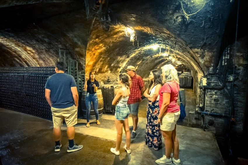 Private Montserrat & Codorníu Winery Tour