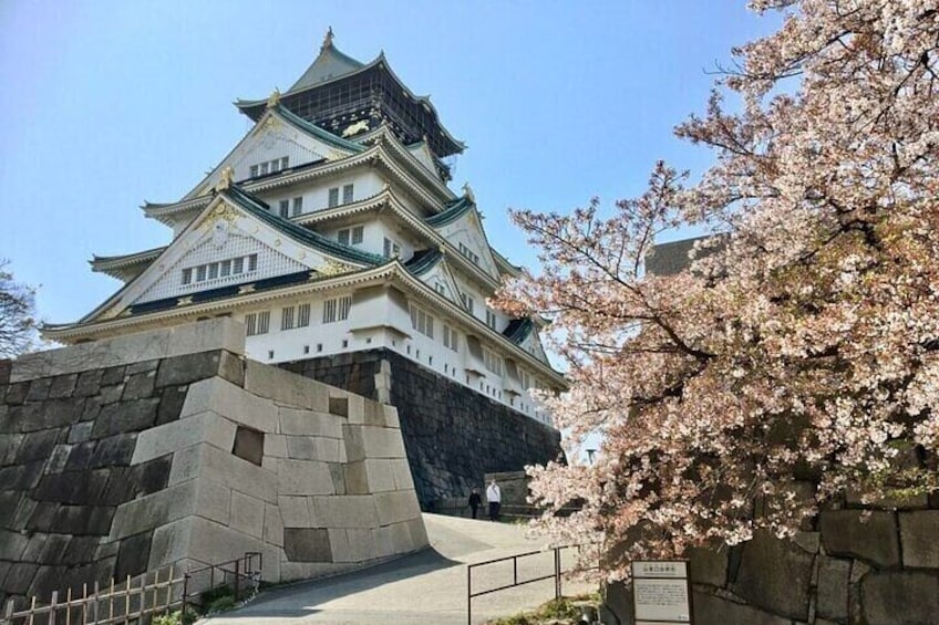Full-Day Private Guided Tour to Osaka Castle