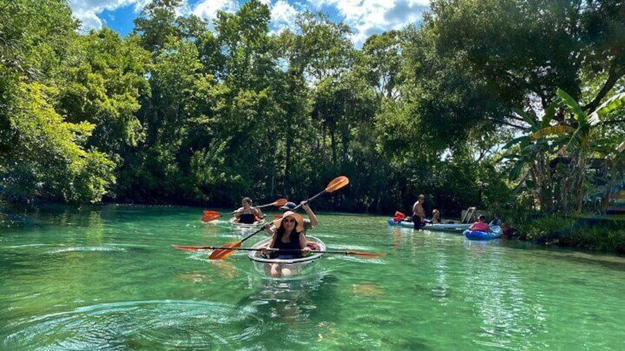Clear Kayak Tours in Weeki Wachee