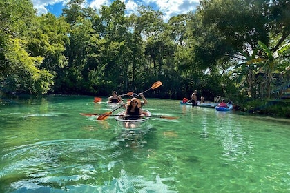 Clear Kayak Tours in Weeki Wachee