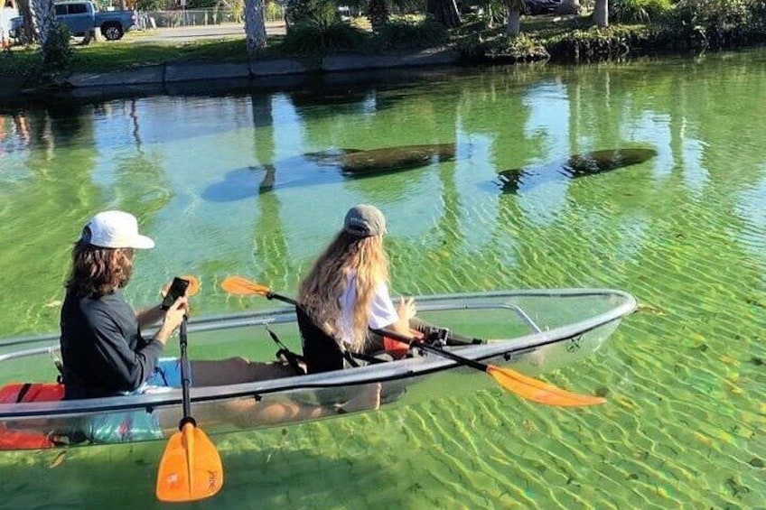 Clear Kayak Tours in Weeki Wachee