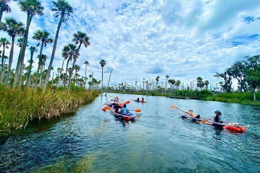 Clear Kayak Tours in Weeki Wachee