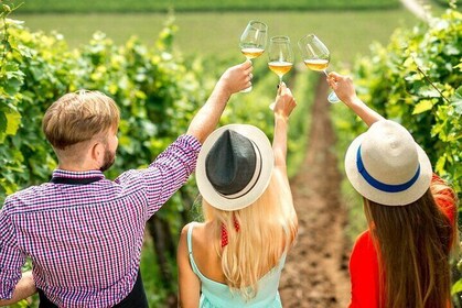 Full Day Wine Tour - Lake Country Scenic Wine Experience