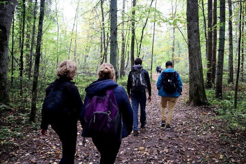 Hike In Gauja National Park - Up And Down The Switzerland Of Latvia