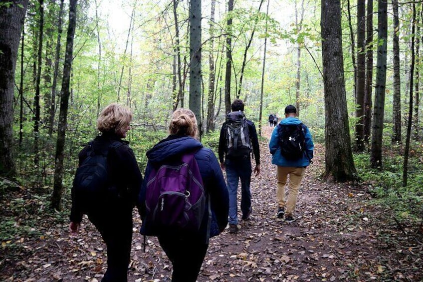 Hike In Gauja National Park - Up And Down The Switzerland Of Latvia