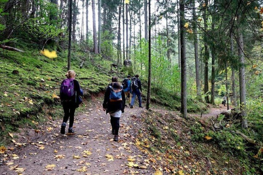 Hike In Gauja National Park - Up And Down The Switzerland Of Latvia