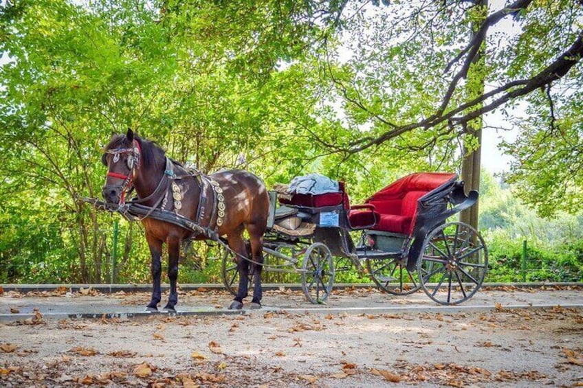 Private Carriage Ride in Vrelo Bosne Nature Park