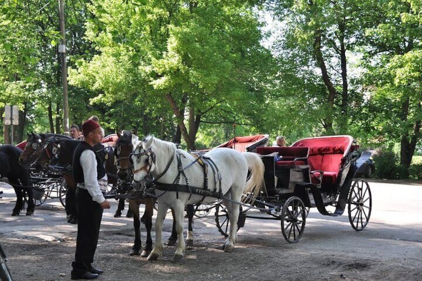 Private Carriage Ride in Vrelo Bosne Nature Park