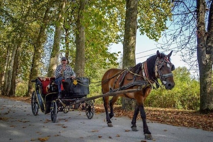 Private Carriage Ride in Vrelo Bosne Nature Park