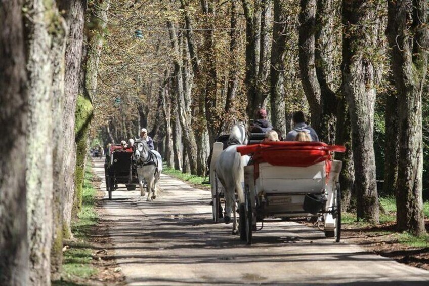 Private Carriage Ride in Vrelo Bosne Nature Park