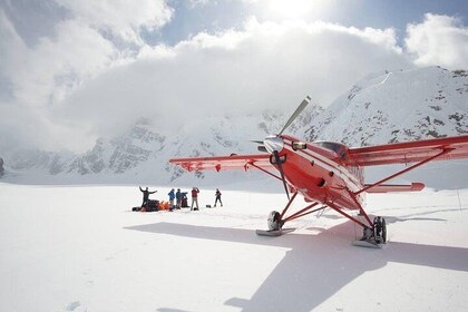 Denali Flyer Flightseeing Tour from Talkeetna