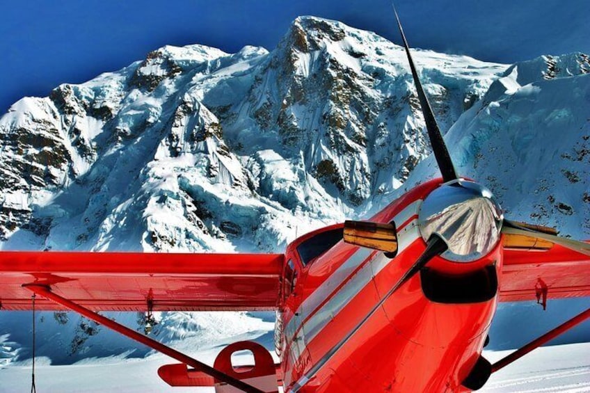 Denali Experience Flightseeing Tour from Talkeetna