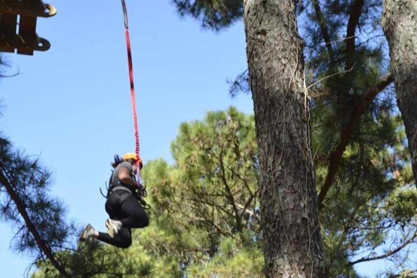 The Raptor, High Rope Course and Zipline Tickets, Wheeler Lake KOA