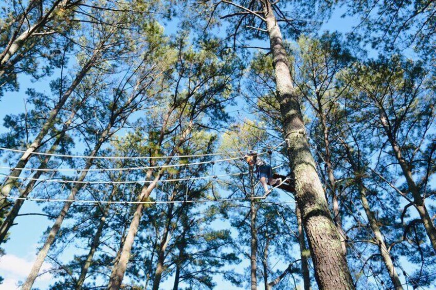 The Raptor, High Rope Course and Zipline Tickets, Wheeler Lake KOA