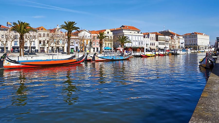 colorful boats docked along the water channel in Porto