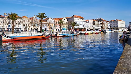 Tour di mezza giornata di Aveiro con crociera del Moliceiro