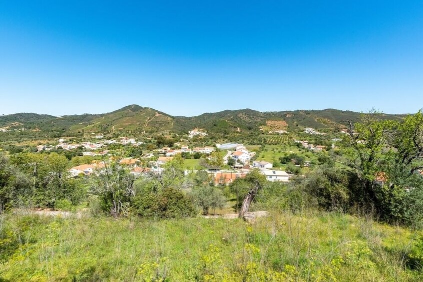 Traditional Algarve Full-Day Trip