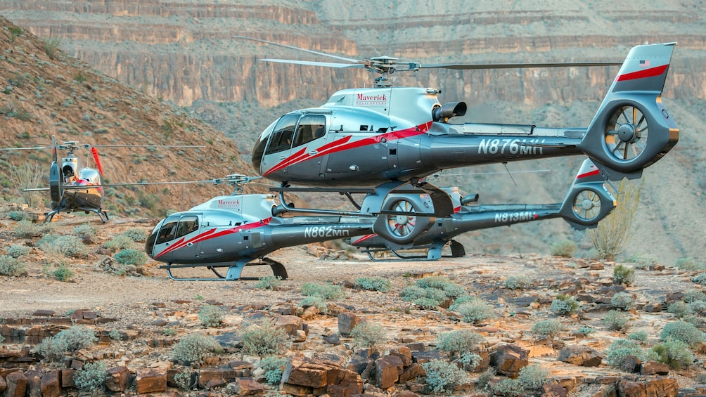 Three helicopters on the banks of the Colorado river