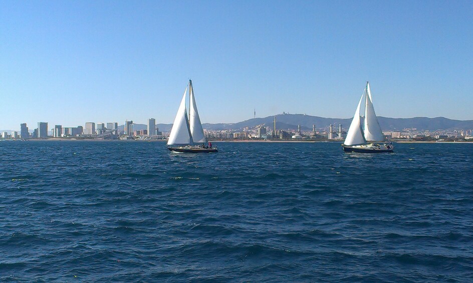 Combo Tour: Half-Day City Center Highlights & Sailing Cruise