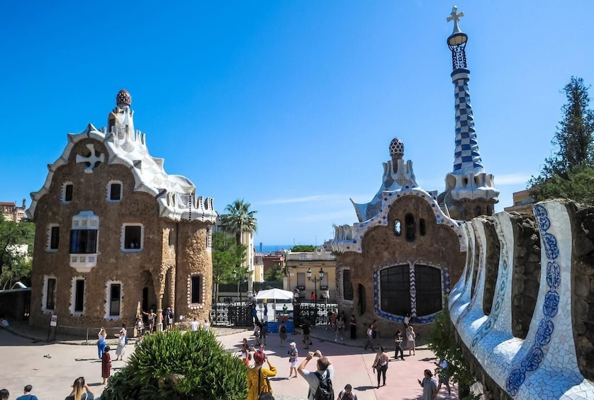 Combo: Full-Day City Center Highlights & Sailing Tour