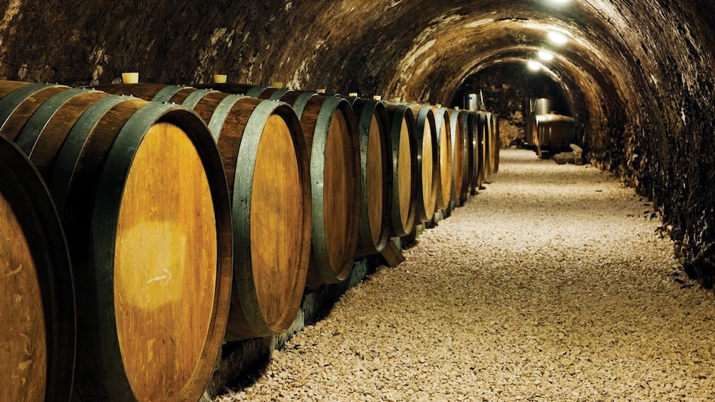 wine barrels inside a cellar in Barcelona