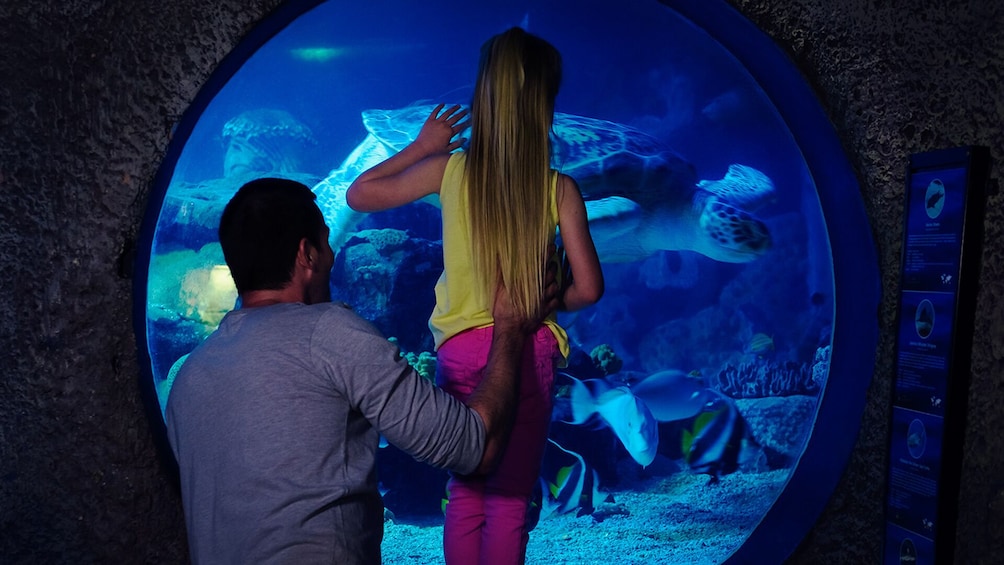 SEA LIFE Manchester Aquarium