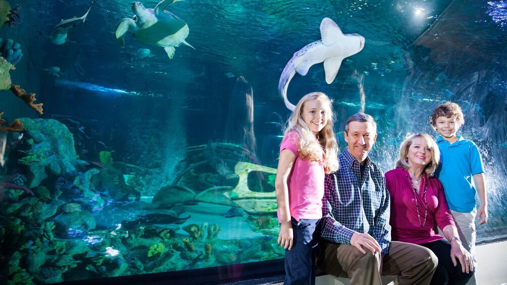 family enjoying the aquarium in Manchester