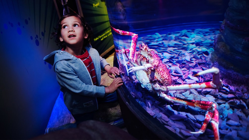 SEA LIFE Manchester Aquarium