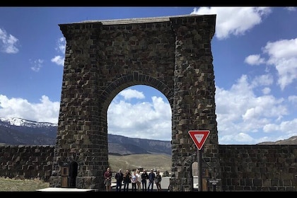 Private Yellowstone Wildlife and Photo Tour’s Upper Loop Cody Wy