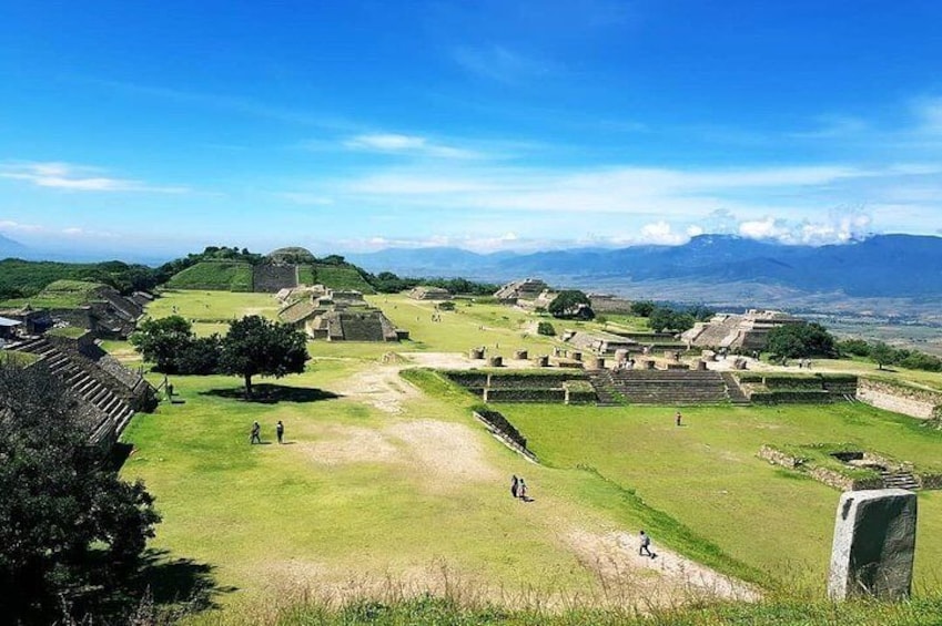 Oaxaca Conmigo Tours