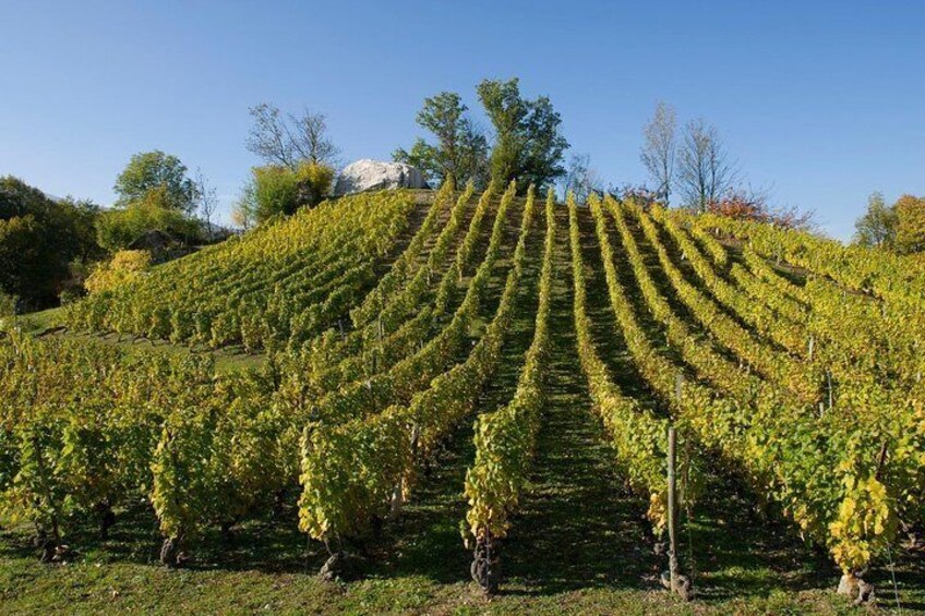 Savoyard Vineyards Tour with Private Driver