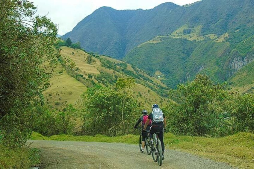 Mountain Bike: Quito to Mindo Cloud Forest - Full Day