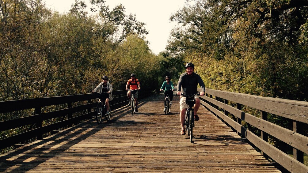 Group of cyclists riding on boardwalk through woods
