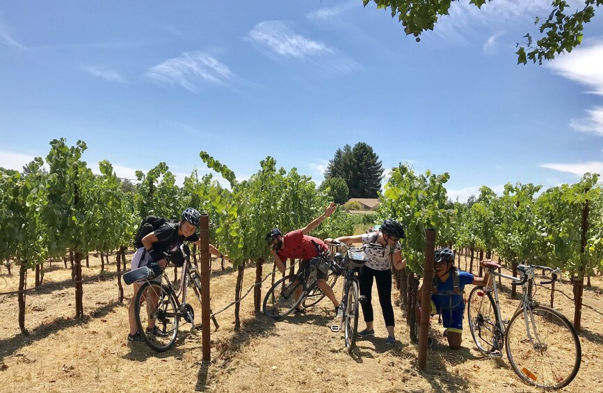 Healdsburg Cycling Wine Tour in Sonoma County