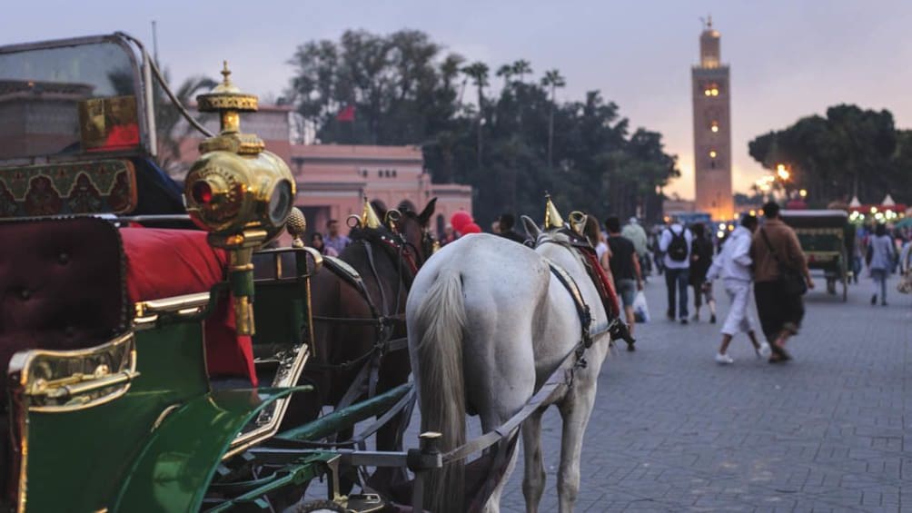Horse carriage near Marrakesh.