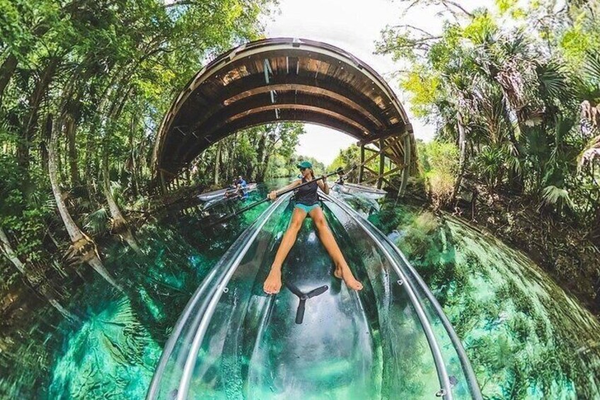 Clear Kayak Adventures through Silver Springs 