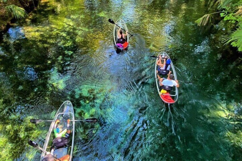 Clear Kayak Adventures through Silver Springs 