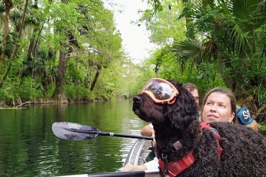 Clear Kayak Adventures through Silver Springs