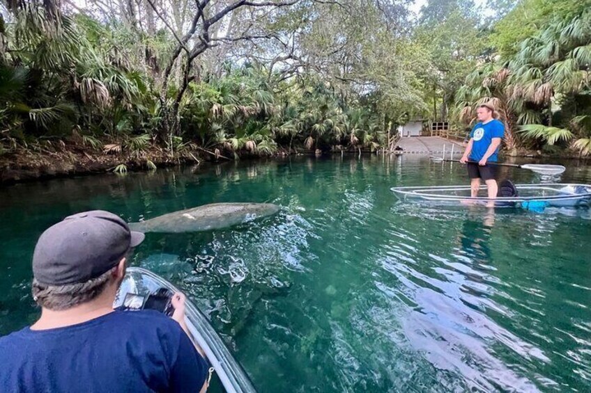 Glass Bottom Kayak Tours of Silver Springs