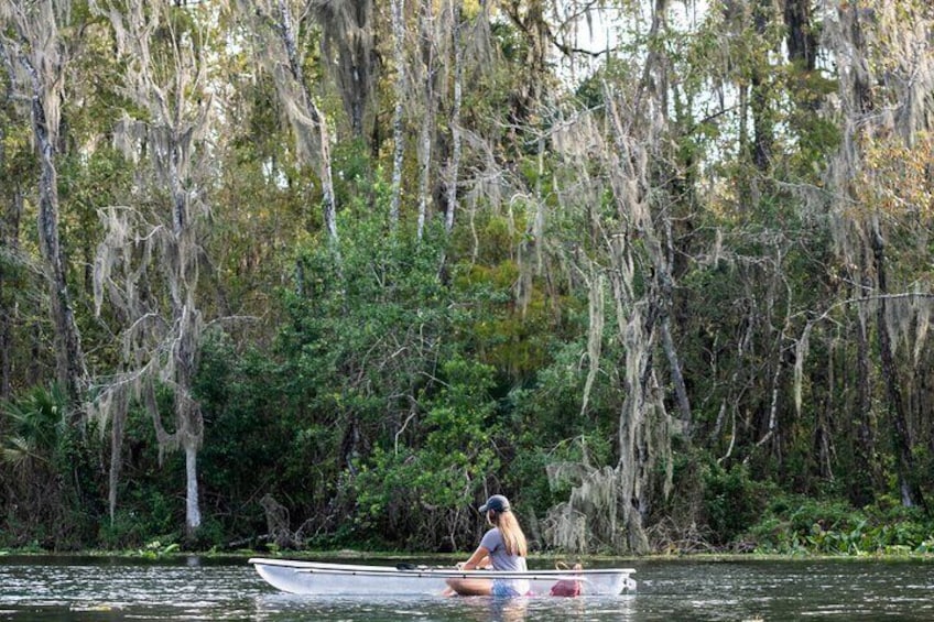 Glass Bottom Kayak Tours of Silver Springs