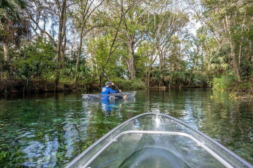 Glass Bottom Kayak Tours of Silver Springs