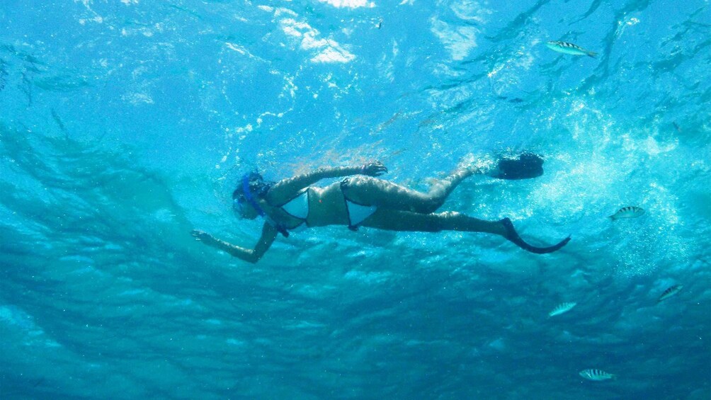 Tampilkan item 5 dari 9. Woman snorkeling in Bali