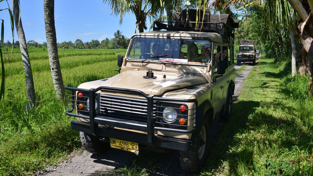 Show item 1 of 9. SUV on a narrow road through the trees in Bali