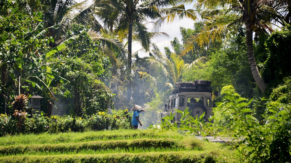 Show item 2 of 9. Land Rover traveling down road past fields in Bali