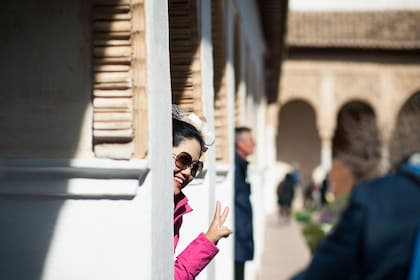 Visite de l'Alhambra au départ de Séville : billet avec accès prioritaire