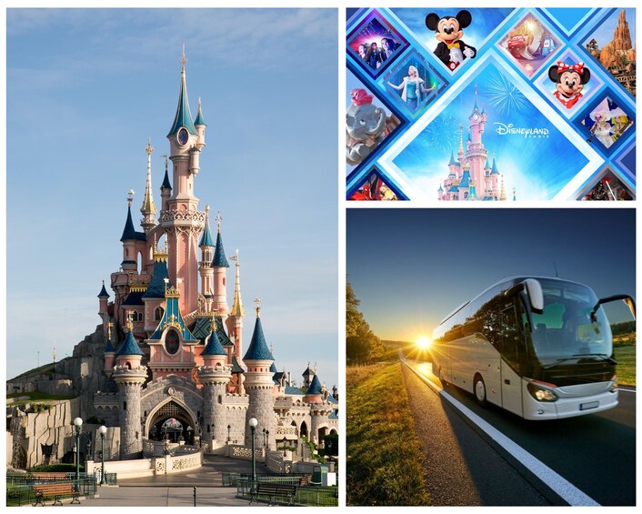 Disneyland® Parks with Optional Transport from Paris